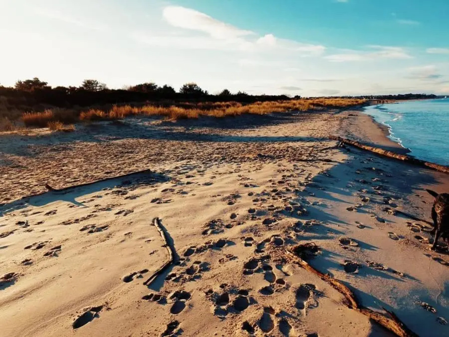 Four Winds Holiday Let