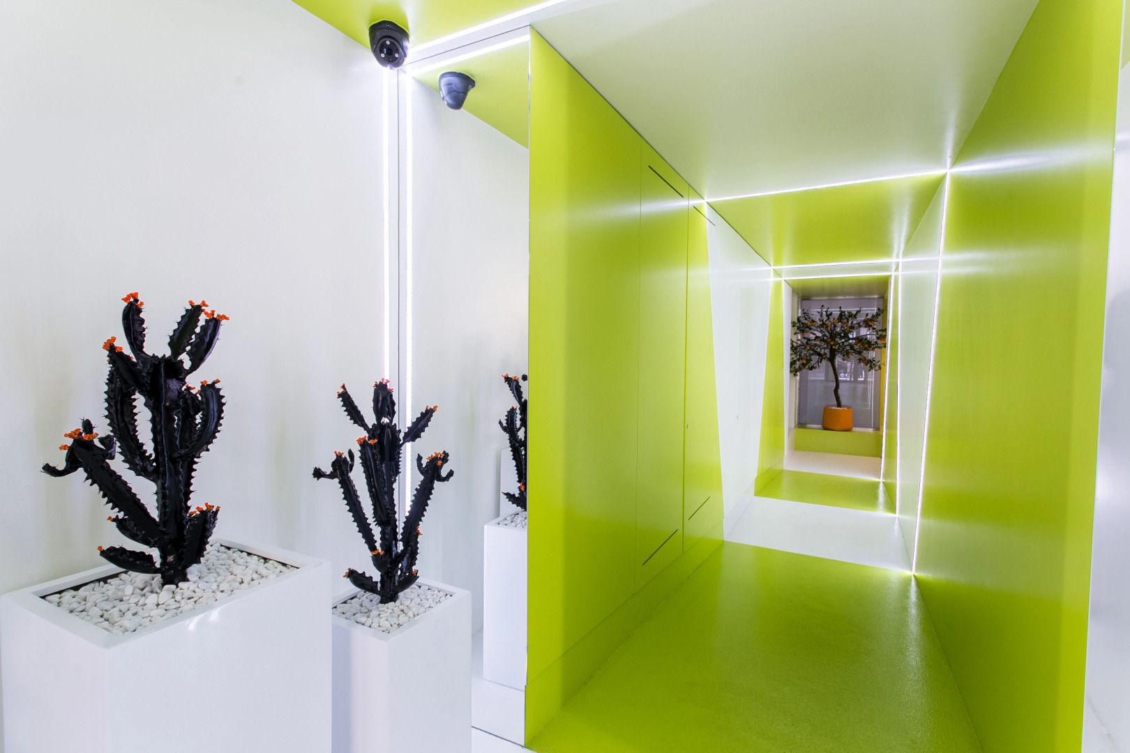 Cosmo Apartments Passeig de Gràcia