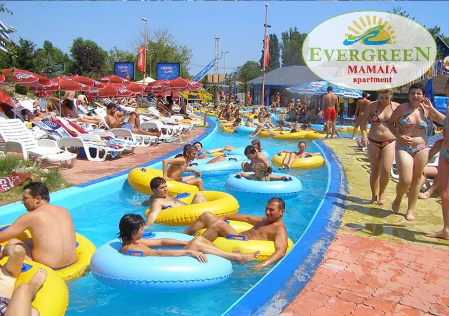 Evergreen Vlas Mamaia
