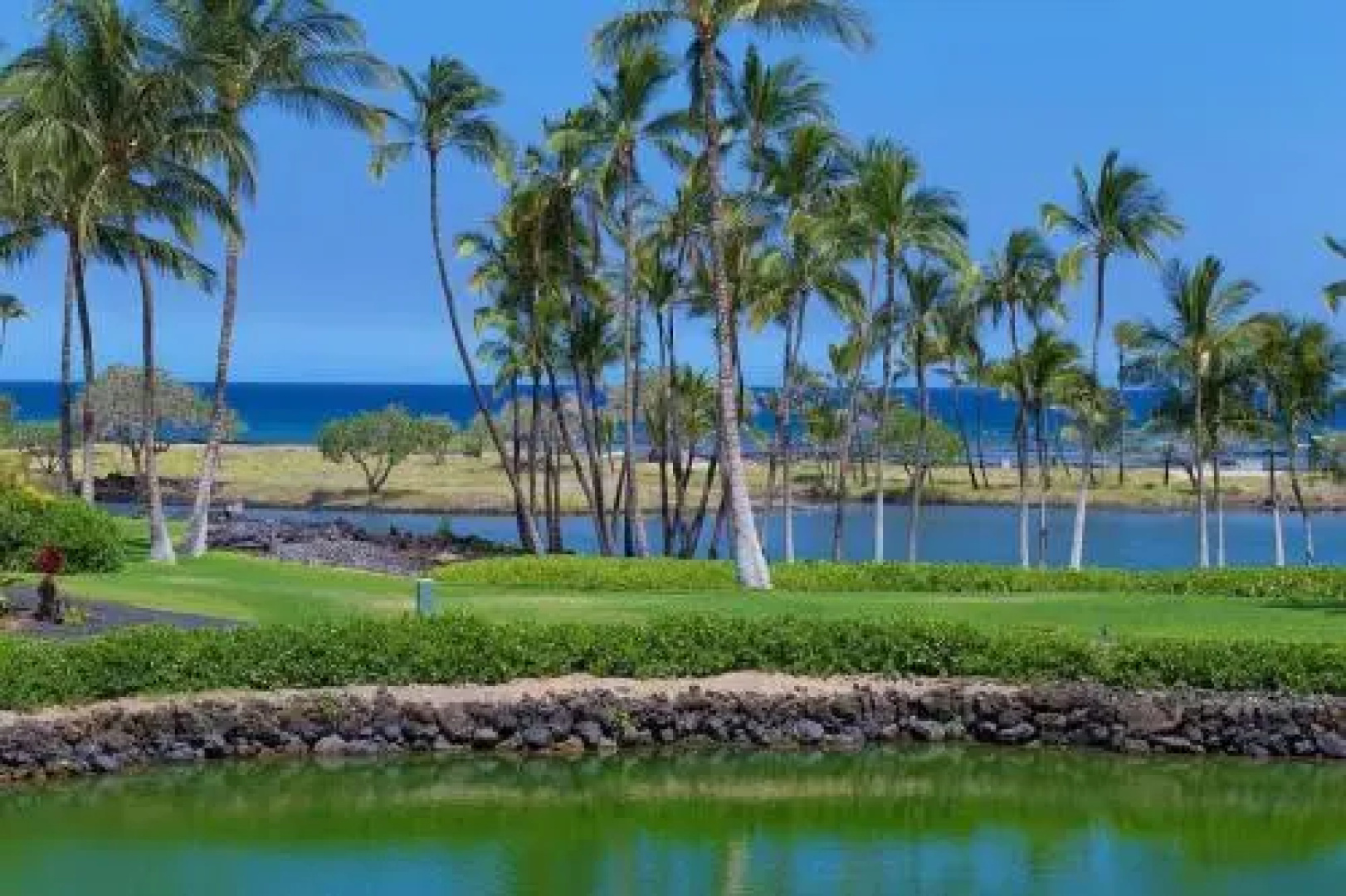 Mauna Lani Terrace #C202