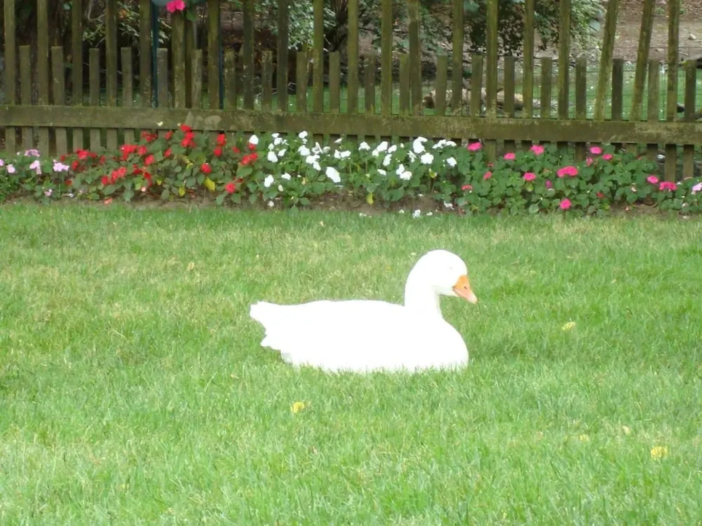 The Earl of Sandwich Motel