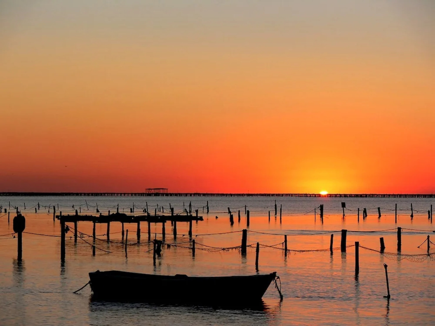 Mi Apartamento en el Delta del Ebro+