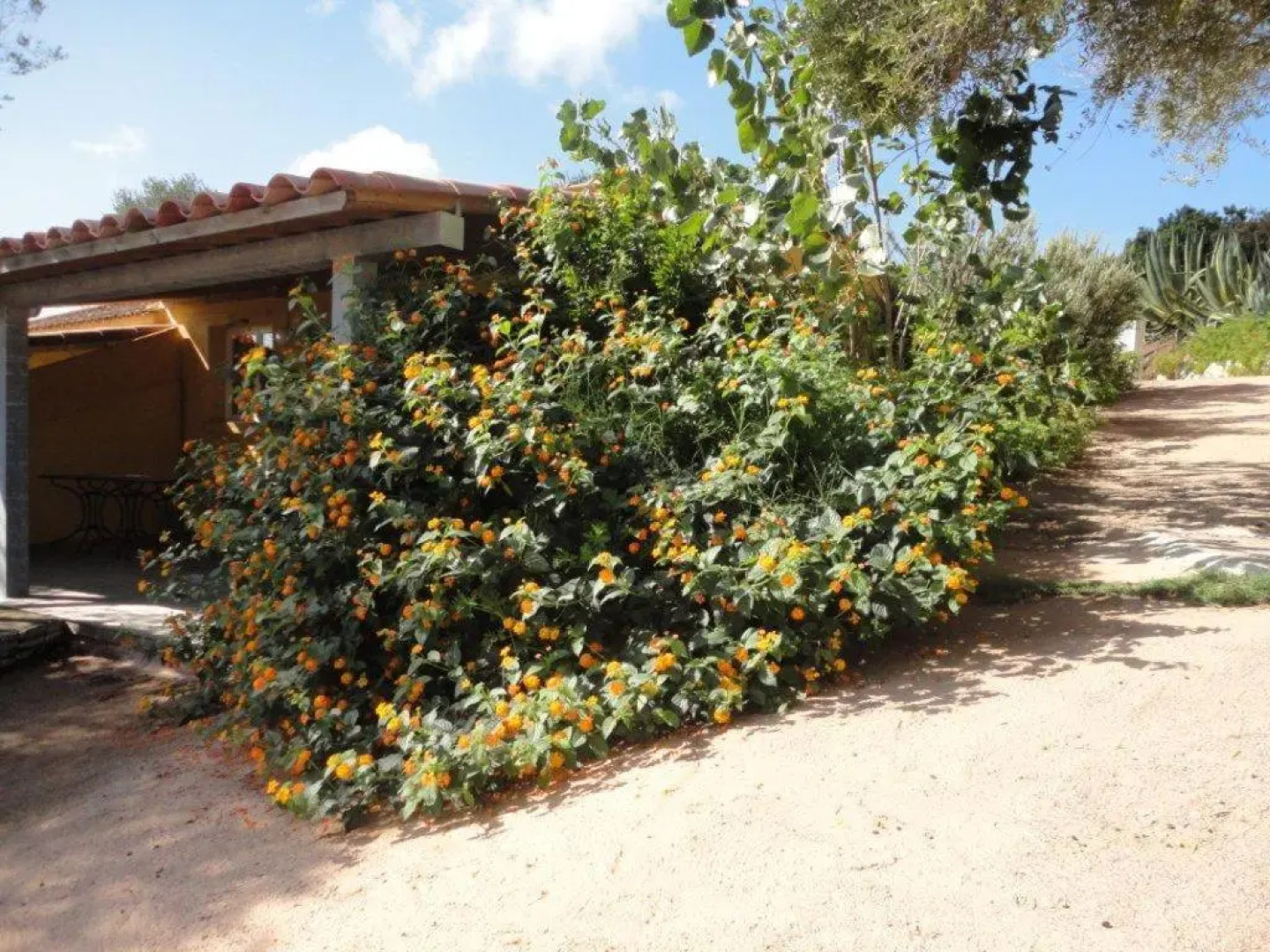 Hôtel Maora Village