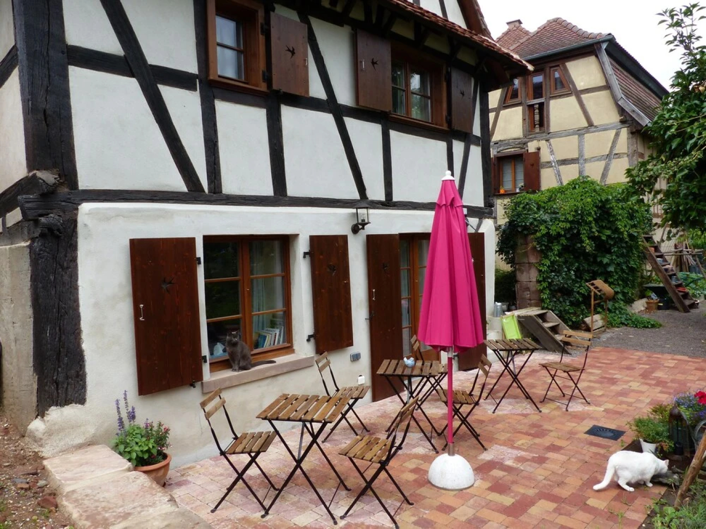 Les Lettres De Mon Moulin