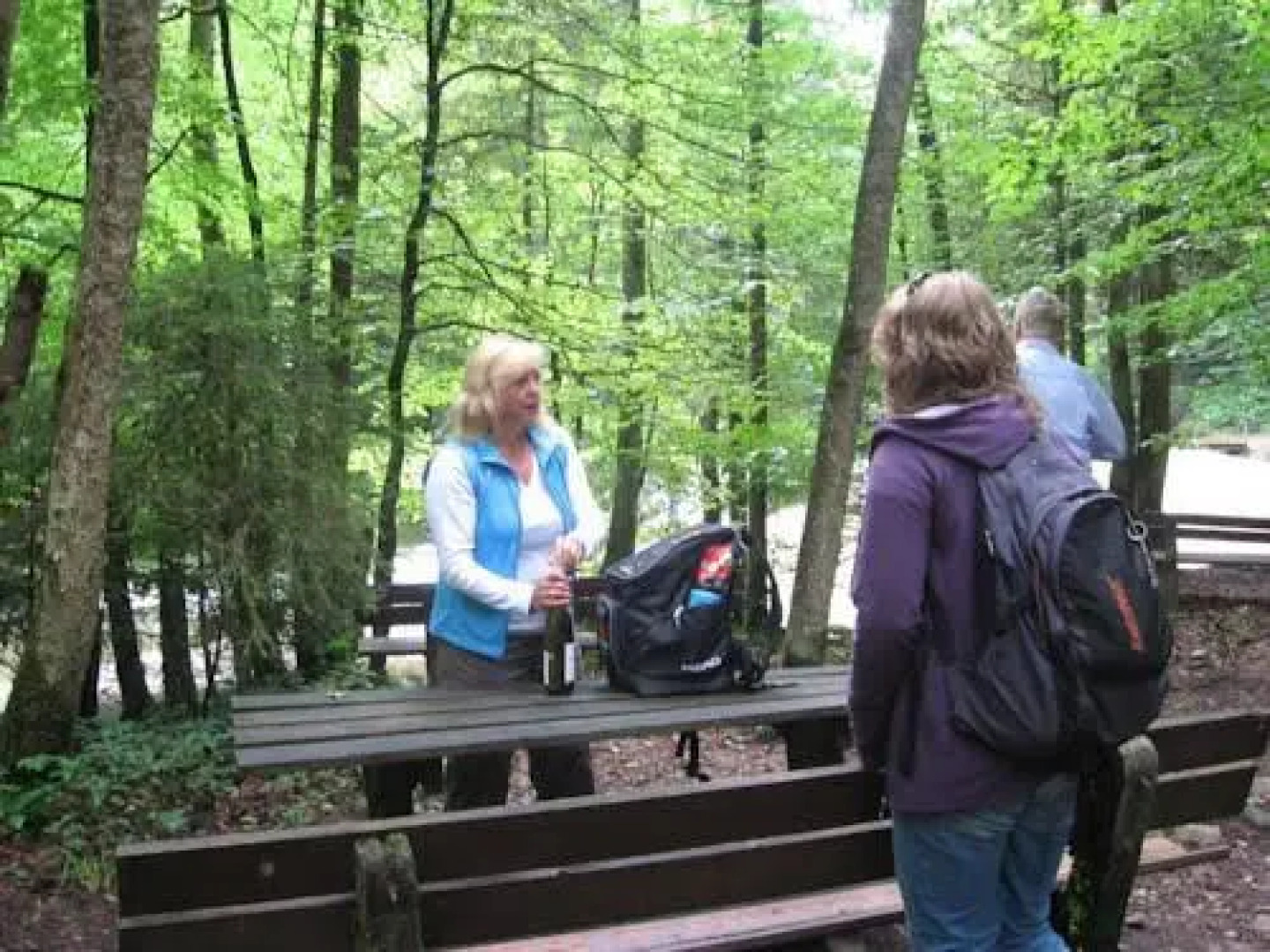 Ferienwohnung Hörger