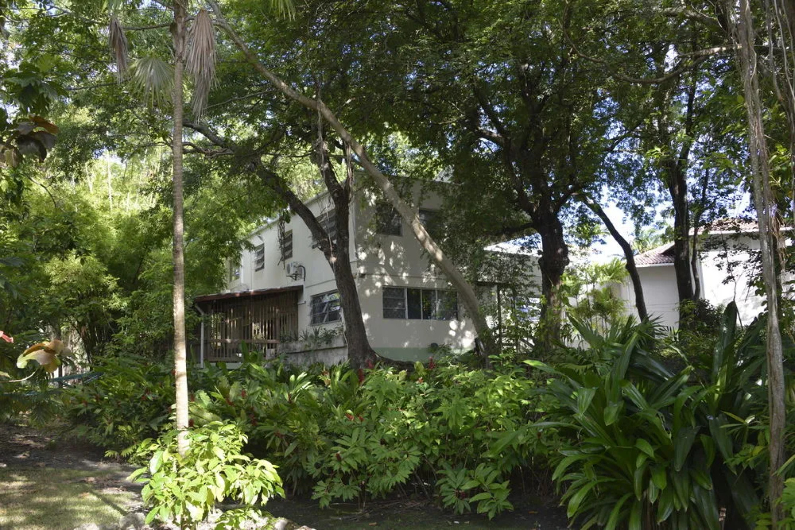 Dover Woods Guest House