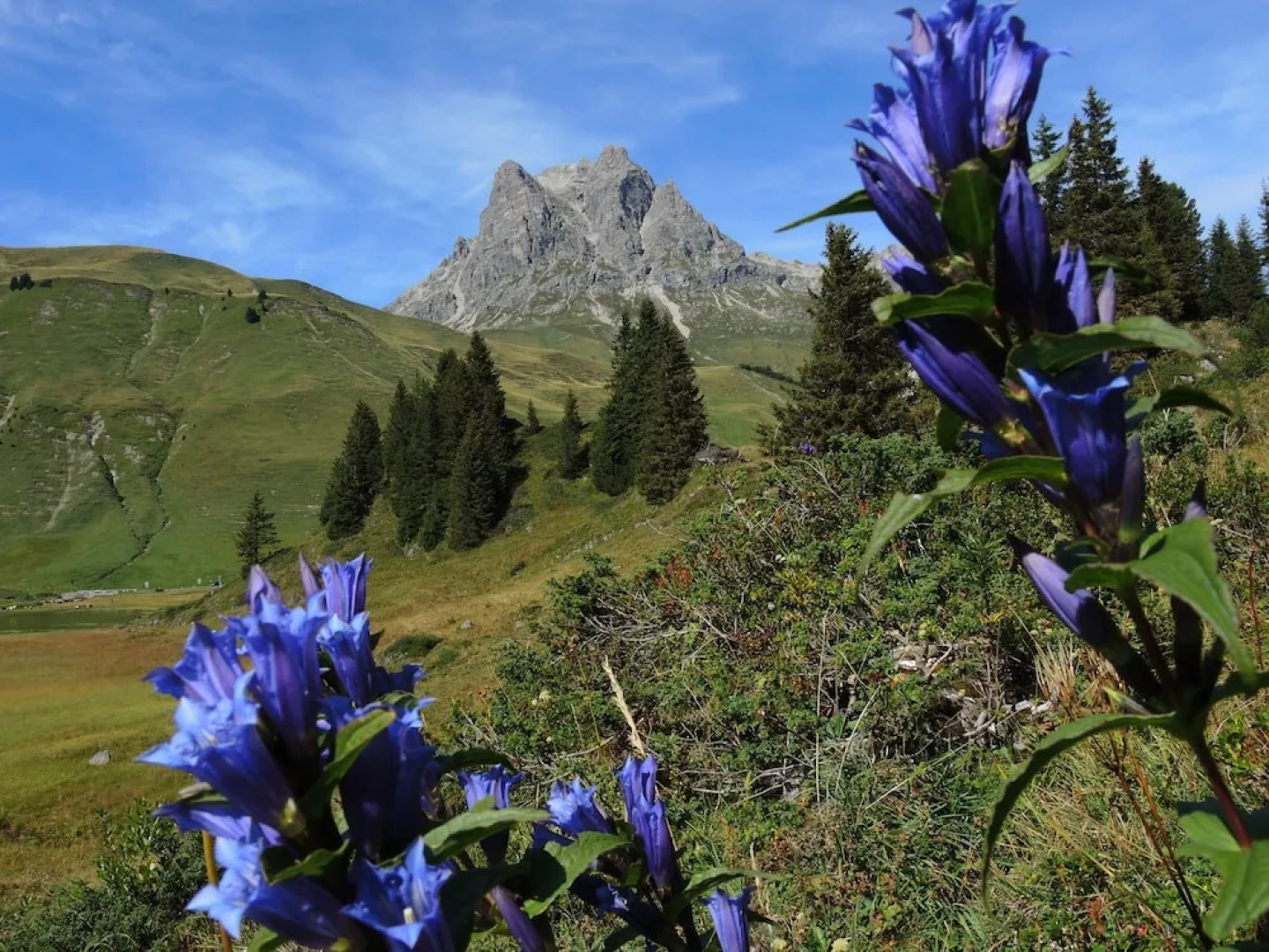 Wellnesshotel Warther Hof