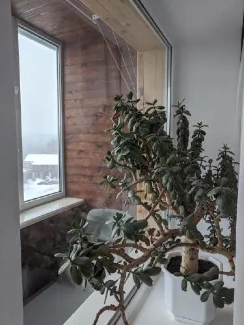 Apartment on Peremohy Avenue