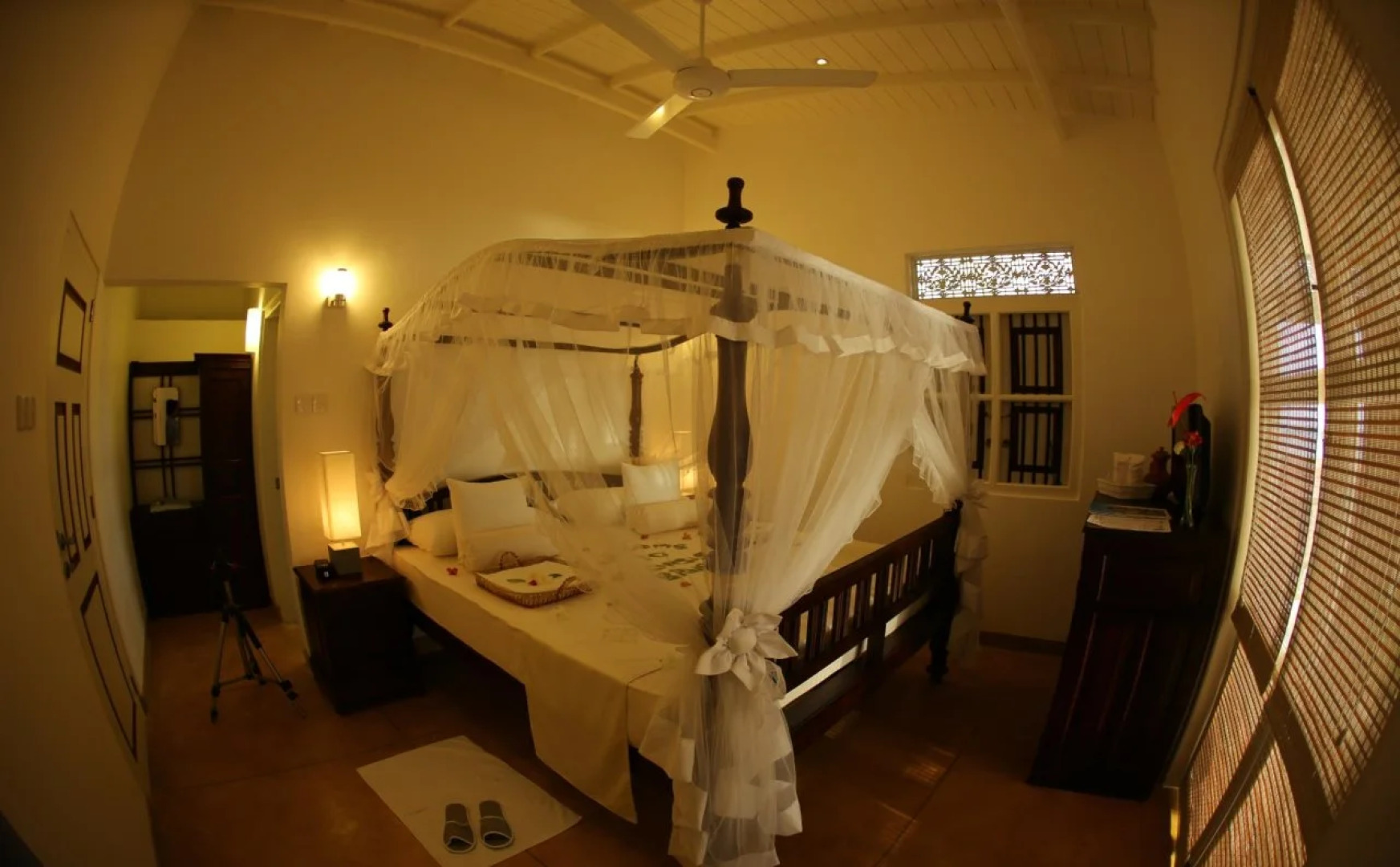 The Beach Hotel Oasis Bridge