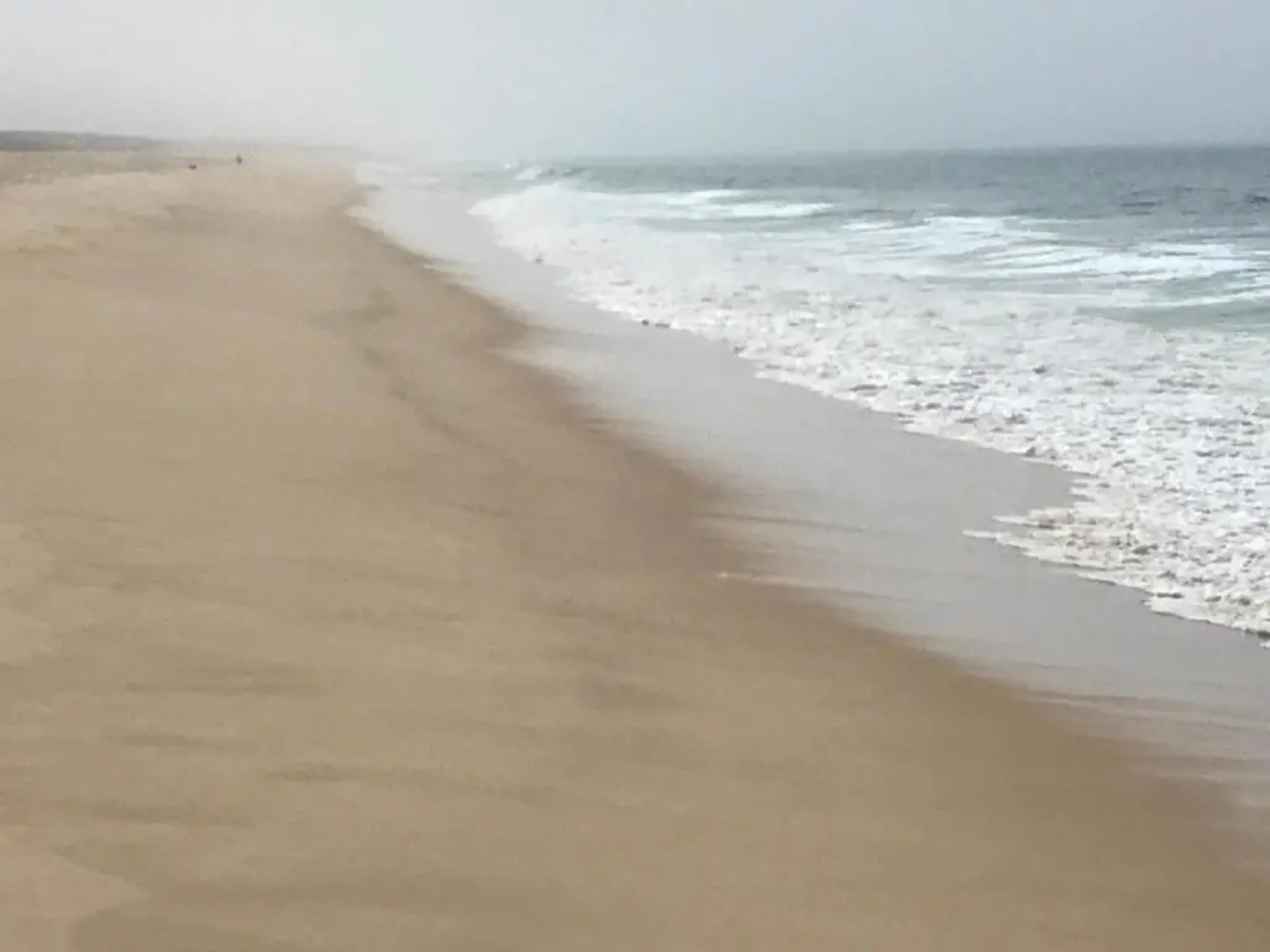 Comporta Natura & Beach