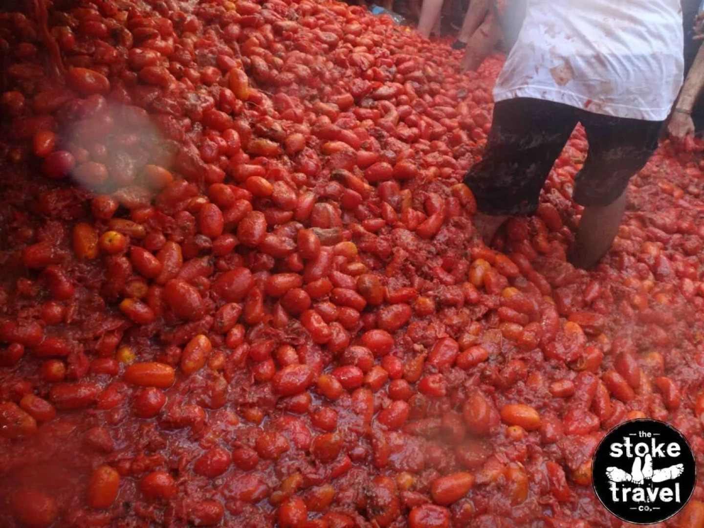 La Tomatina Festival