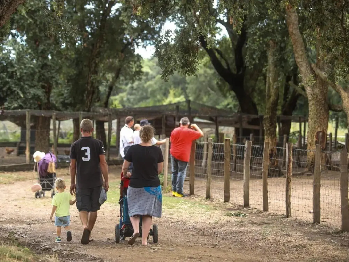 Le Rendez-vous de l'Été