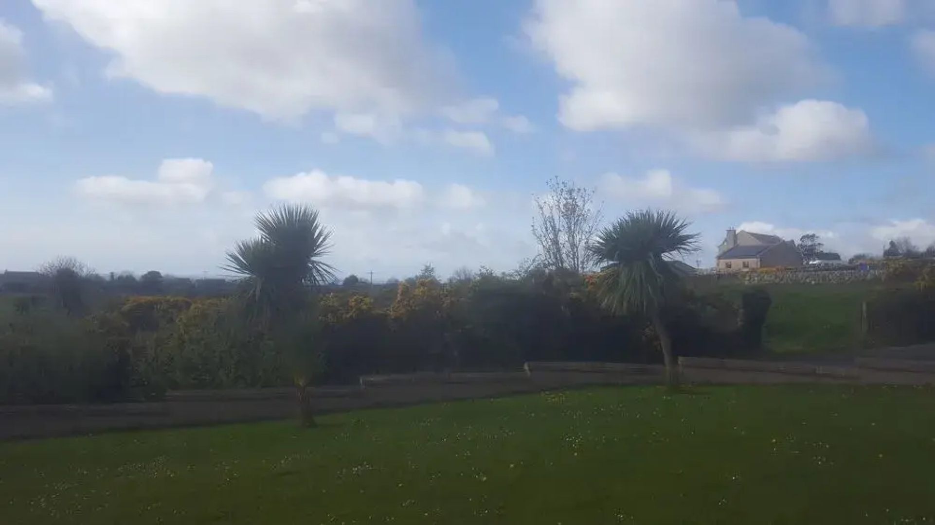 The Views