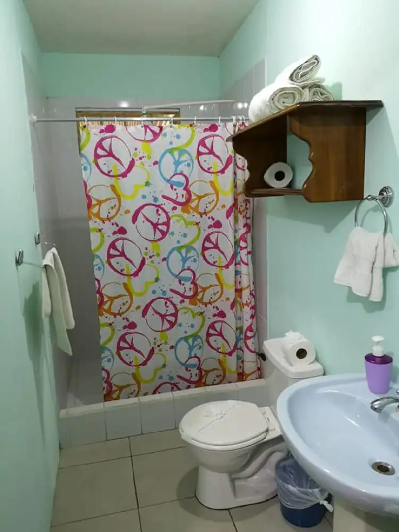 Blue Morpho House B&B