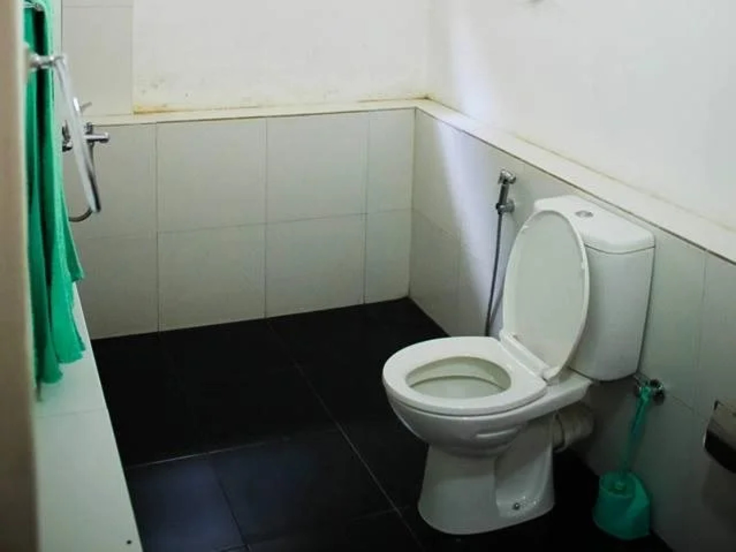 Surrey Bird Sanctuary & Holiday Resort