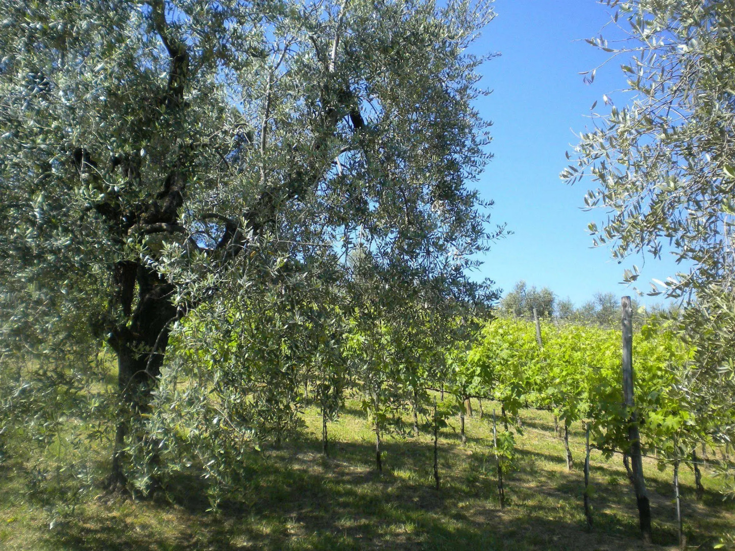 Bello Stare Charming Retreats