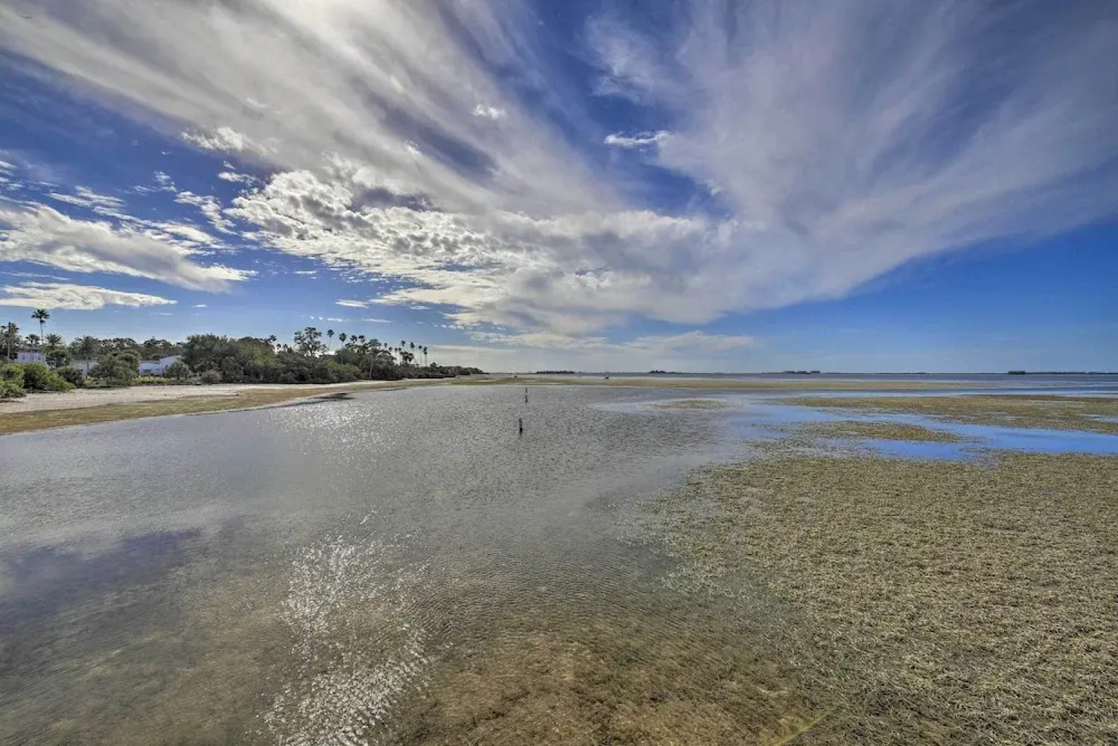 Beachy Palm Harbor Escape: Swim Spa Pool & Gazebo