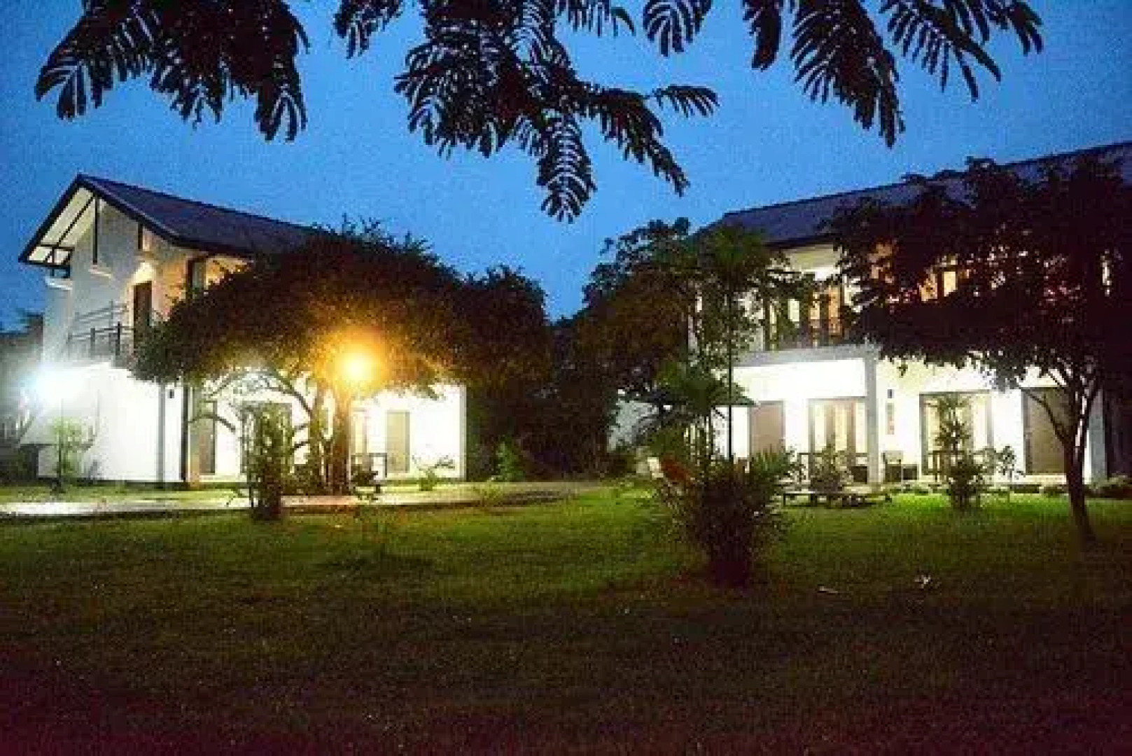 Oak Ray Elephant Lake