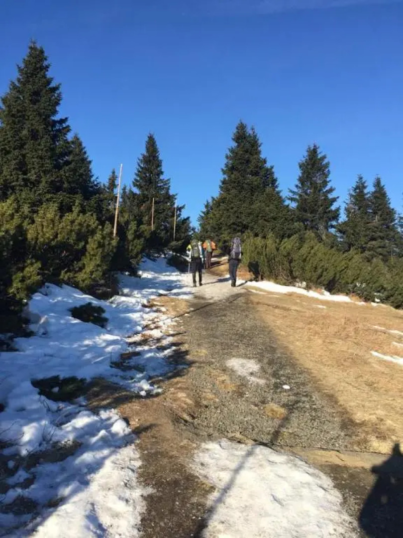 Apartments Dřevona II