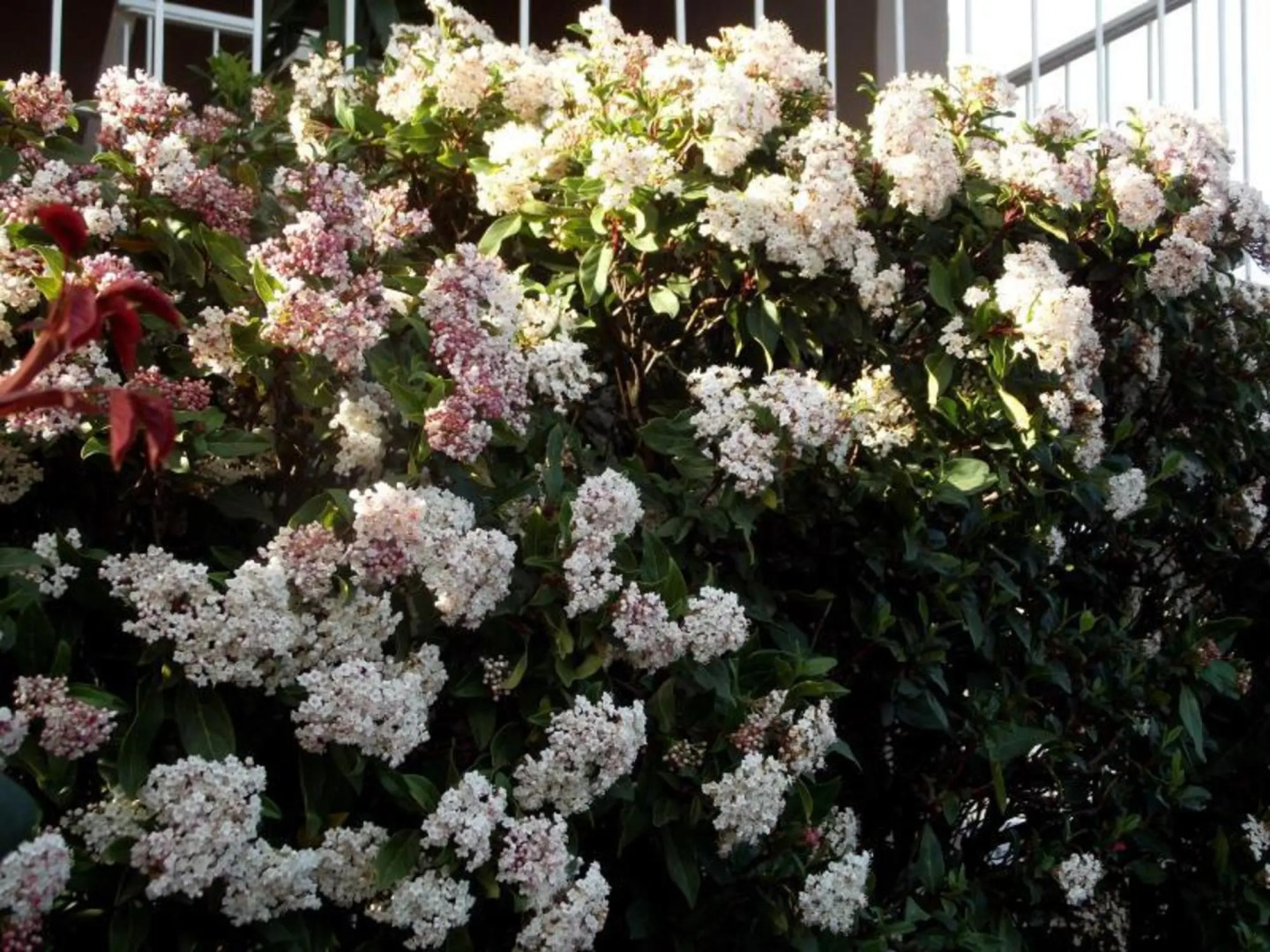 Winning Post Motor Inn