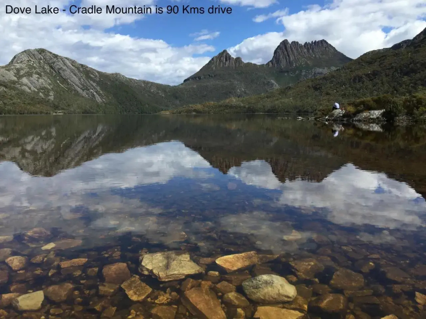 Penguin Seaside Homestay