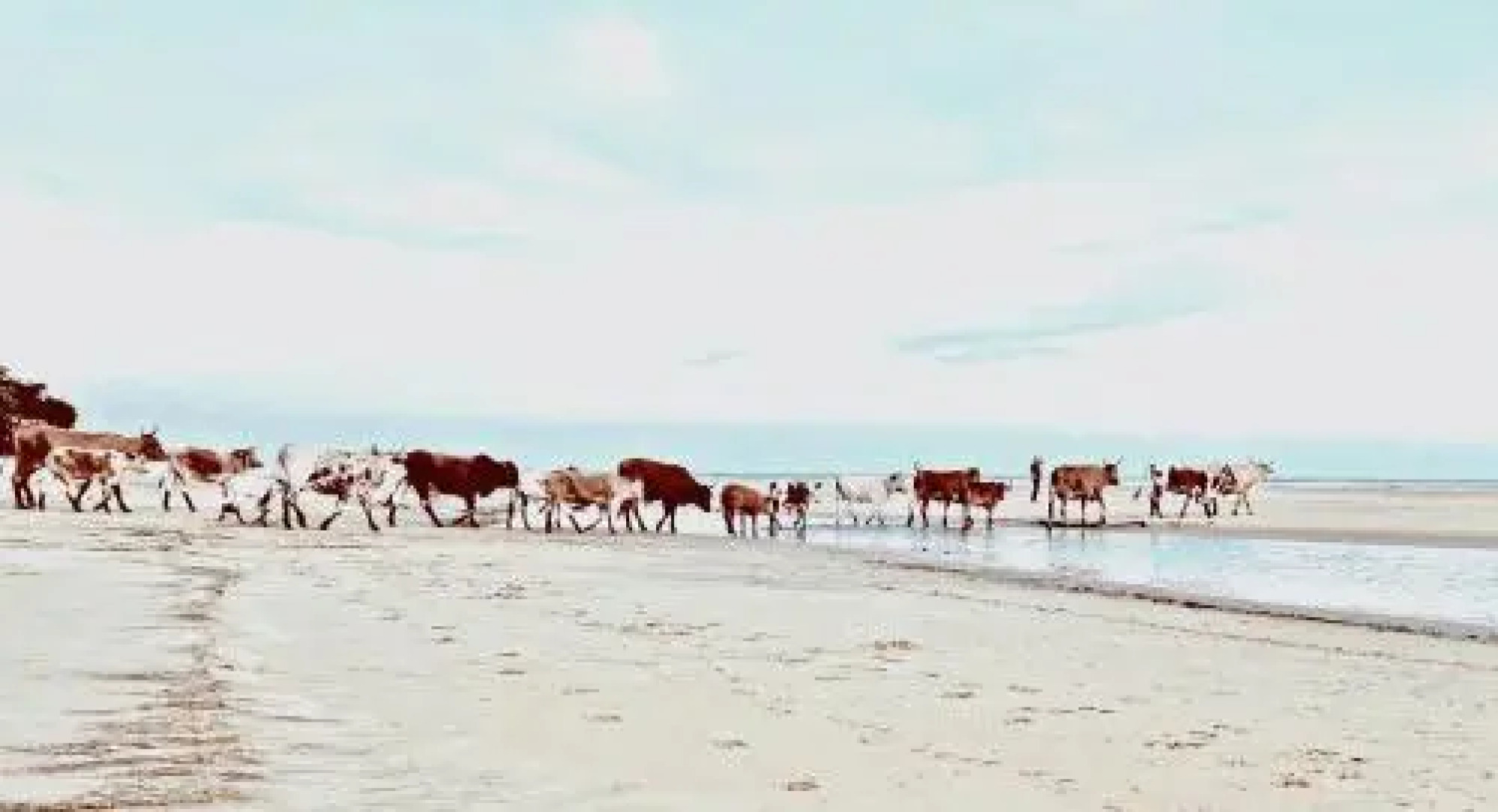 Purple Haze Eco Lodge