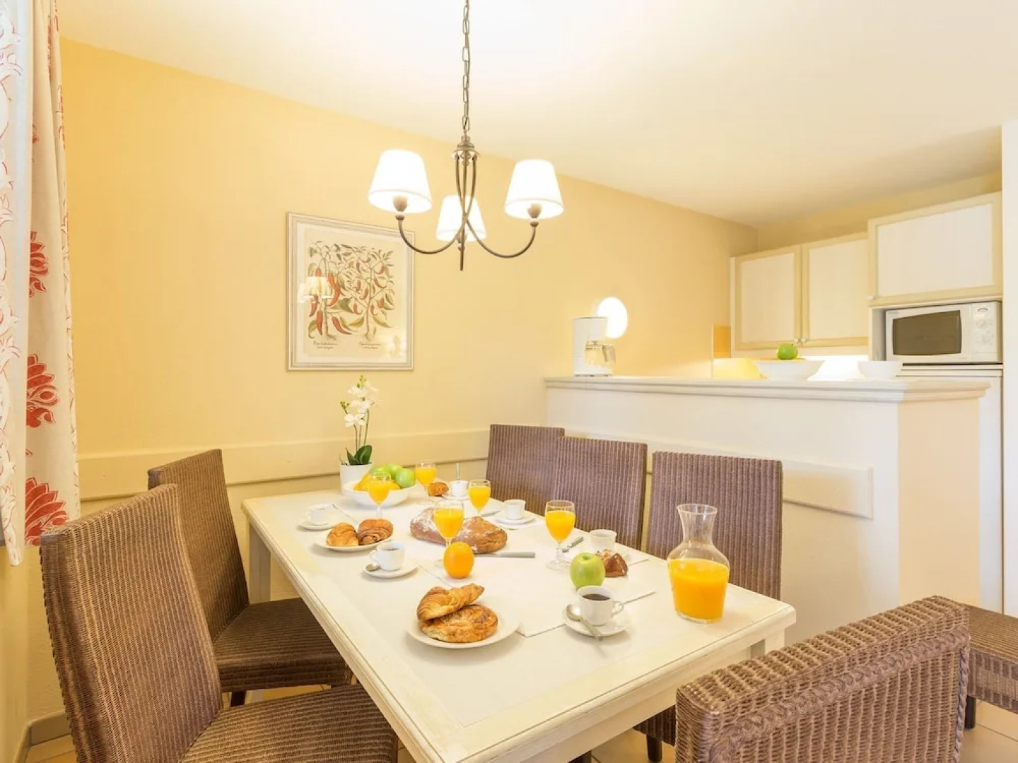 Authentic Apartment Located on the South Coast of the Landes