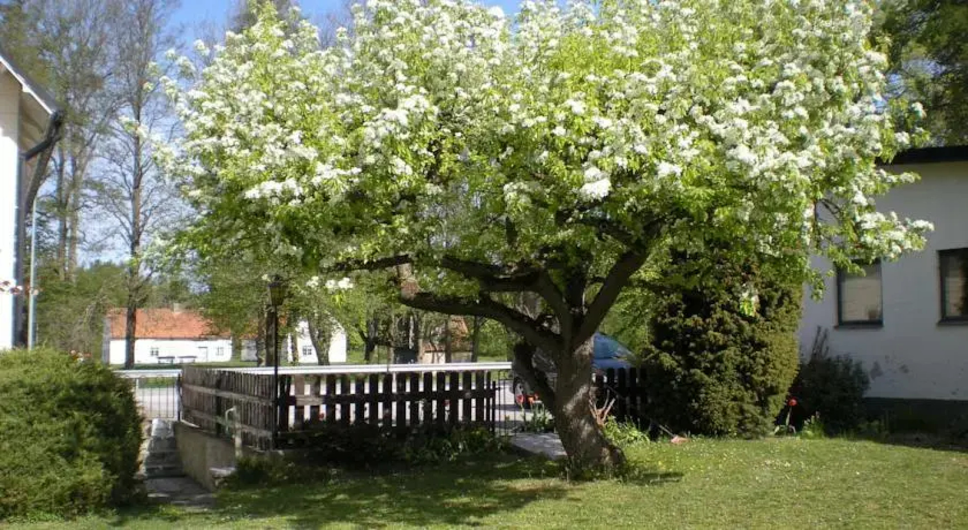 Krutbrännaren Hostel