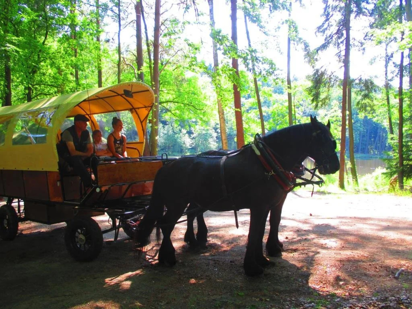 Wellness-Landhotel Kummerower Hof - Weltweit erstes Bierbad