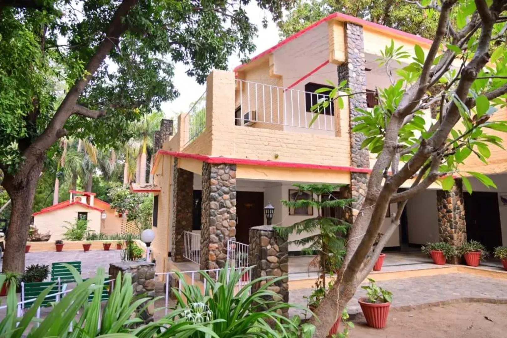 Leopard Lair Ananta Express