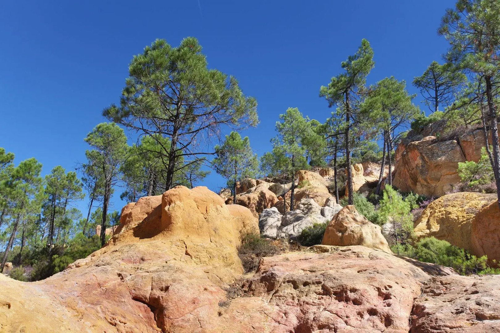 Domaine Les Petites Vaines