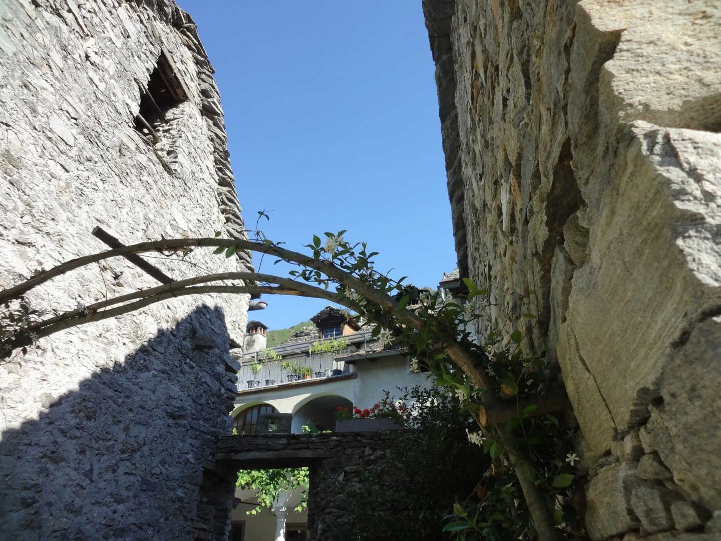 Alloggi Alla Cantina