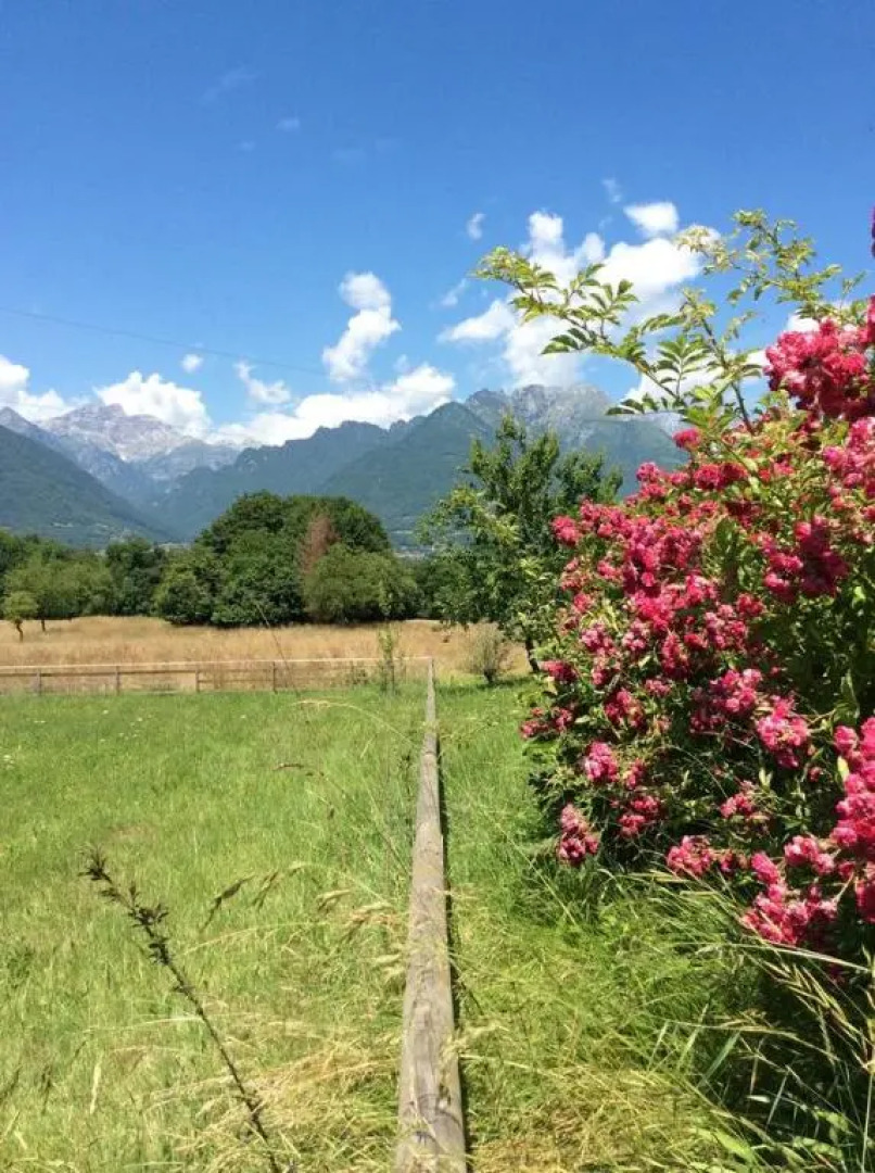Il Mondo Roverso