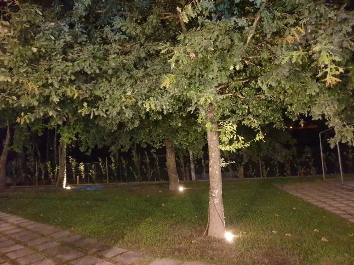 Quinta das Essencias