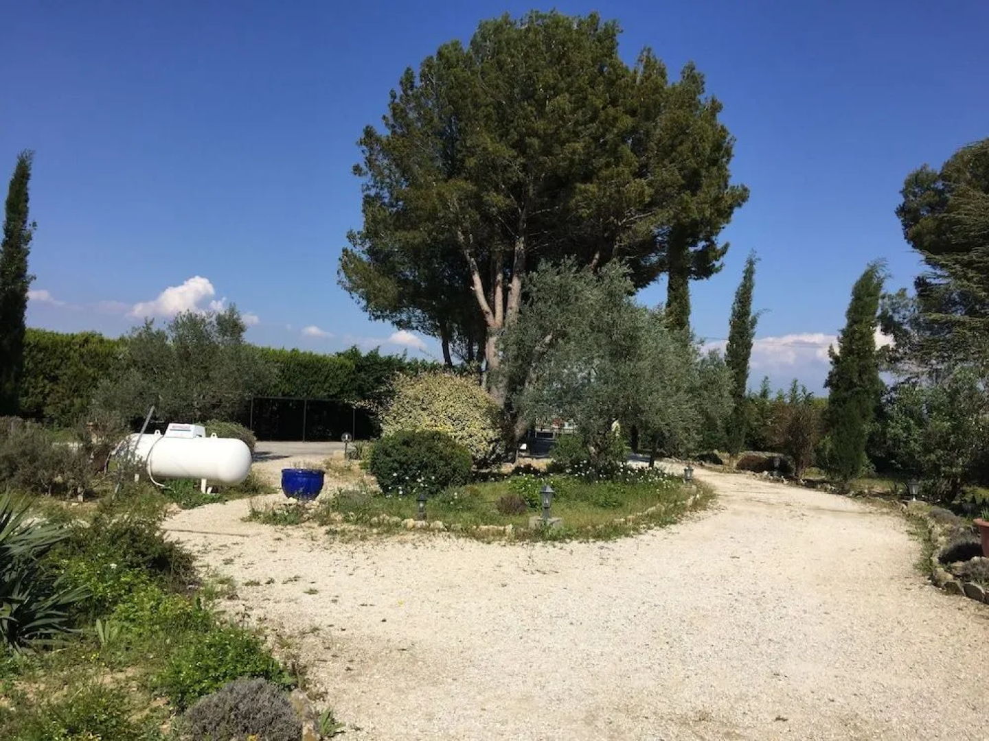 Zocalo Ranch