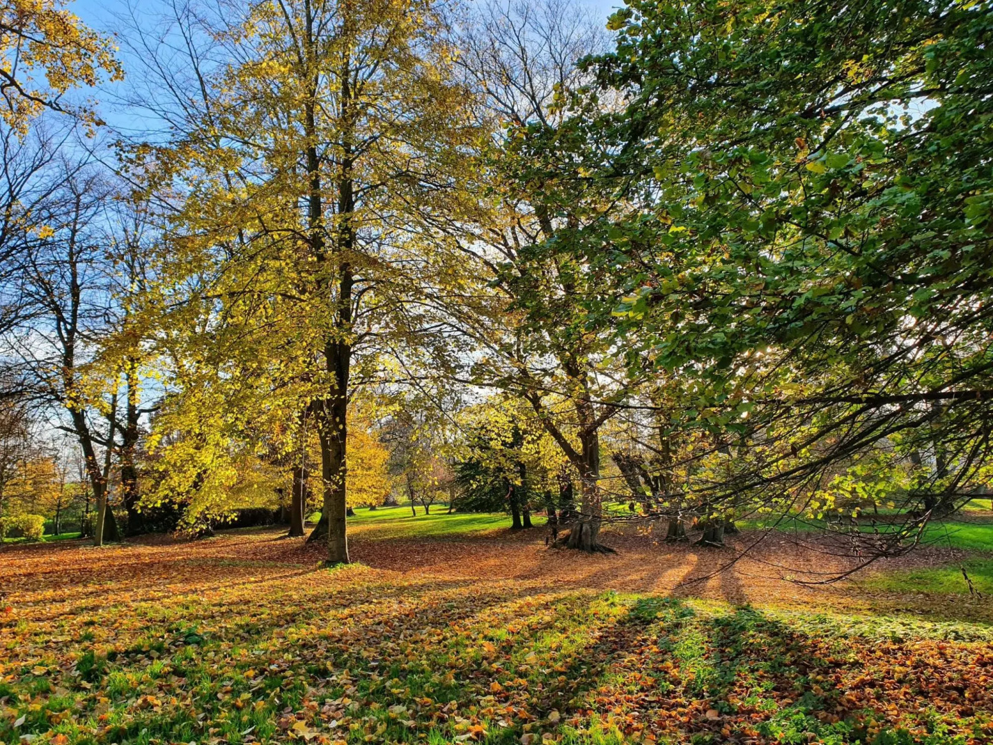 Einladende Ferienwohnung in Gerdshagen mit Garten