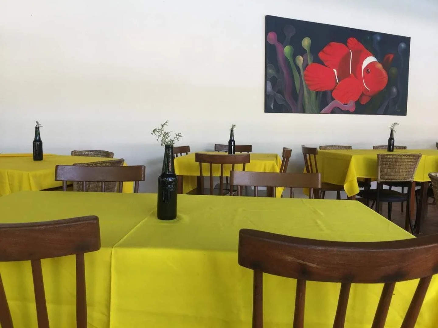 Caju Montebello Pipa