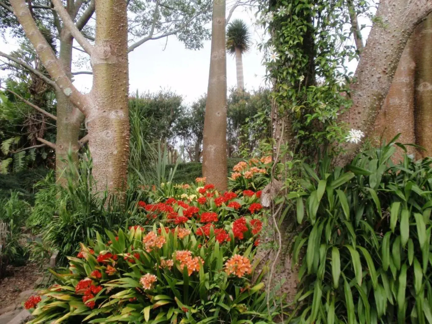 Wharepuke Subtropical Accommodation