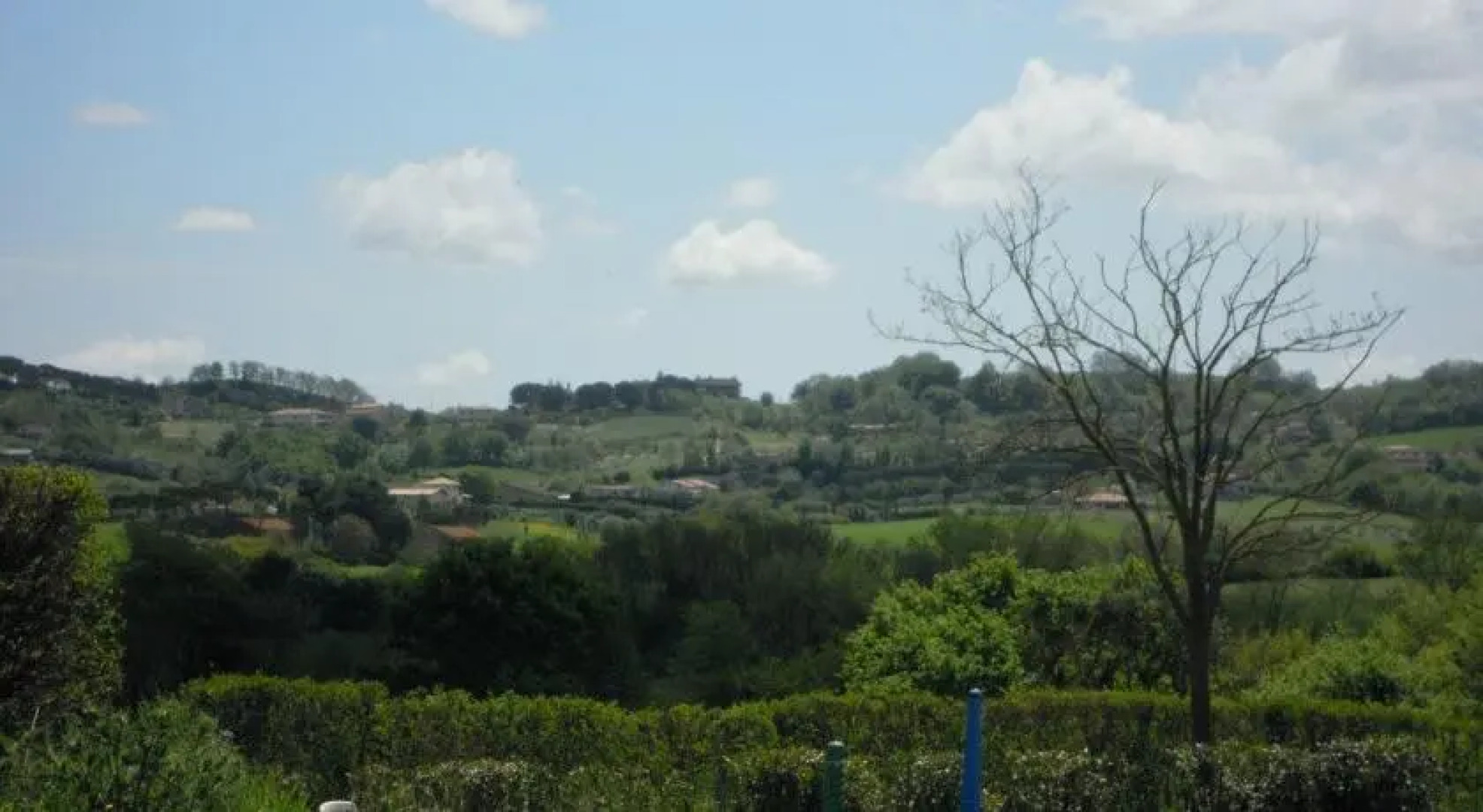 Cavallo Di Fiori - Agriscuderia