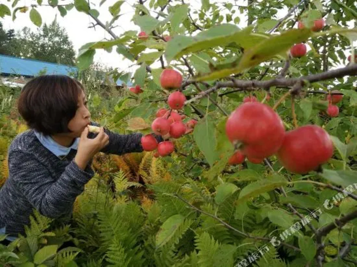 Home Of Linhai Family Guesthouse