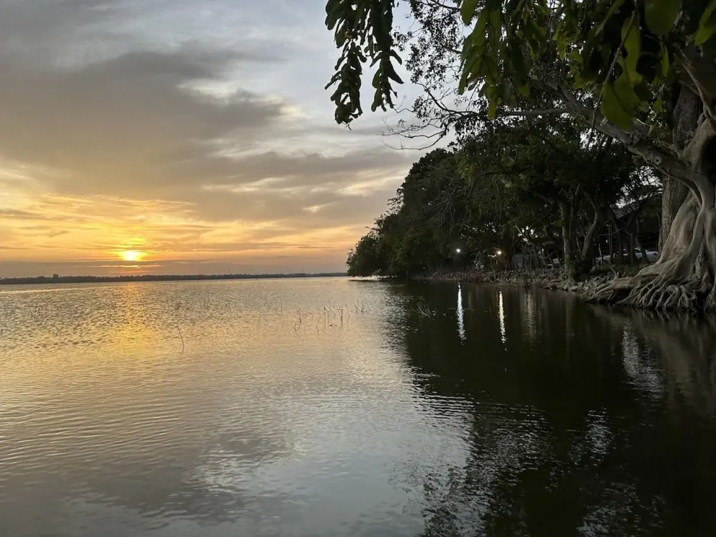 Allure Yala