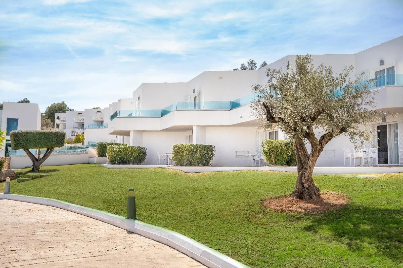 Marsenses Ferrera Blanca Adults Only