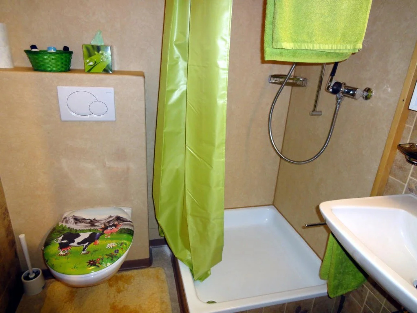 Ferienwohnung Meiringen