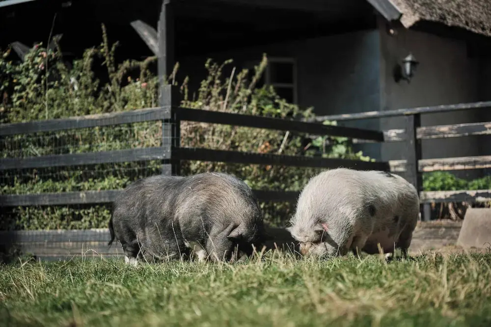 Askegaarden Apartments