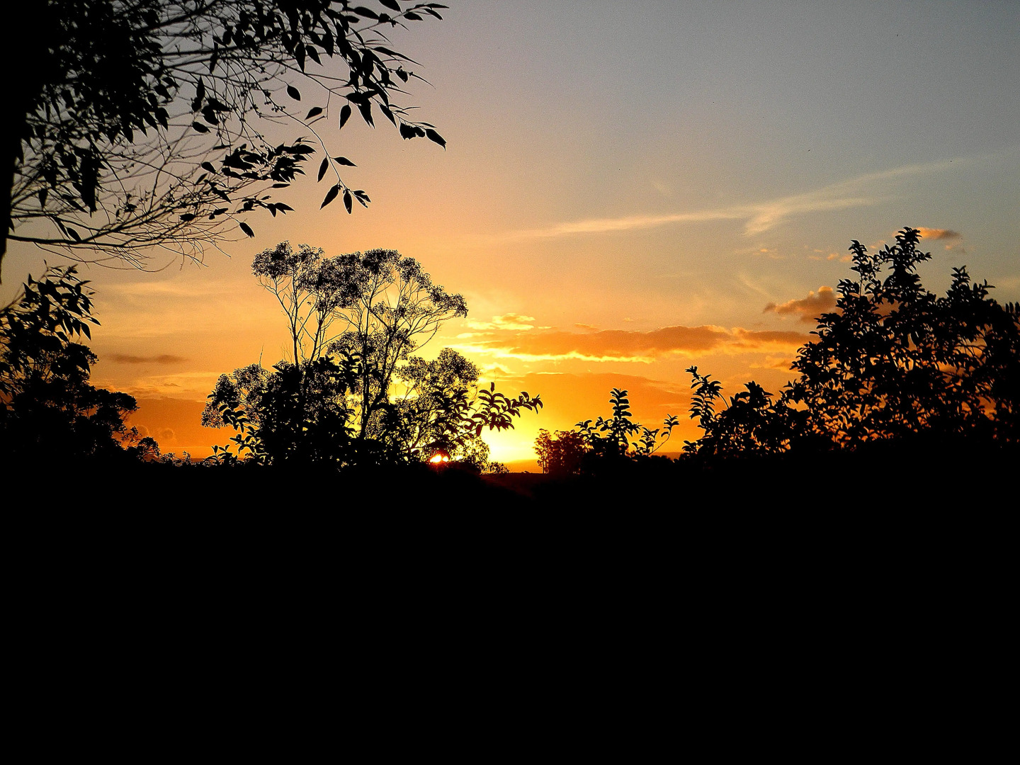 Morada das Bromélias
