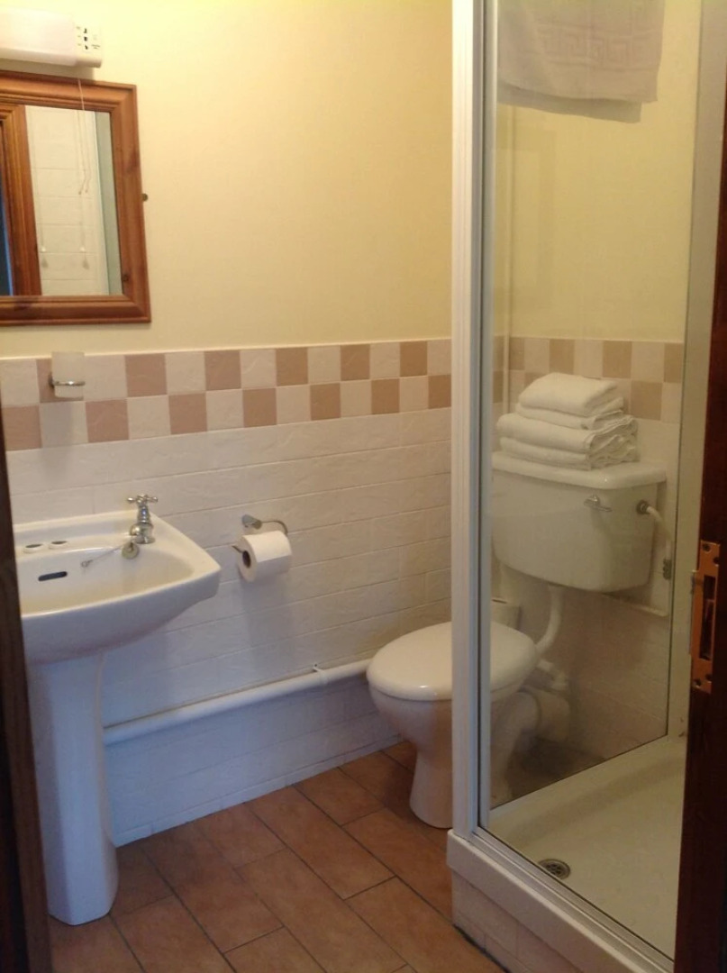 The Dillwyn Arms Hotel