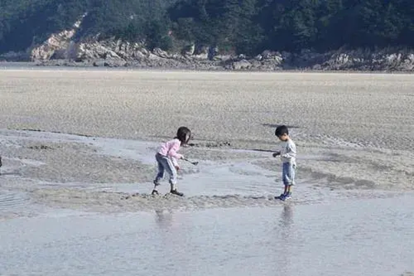 Taeangolden Coast Pension
