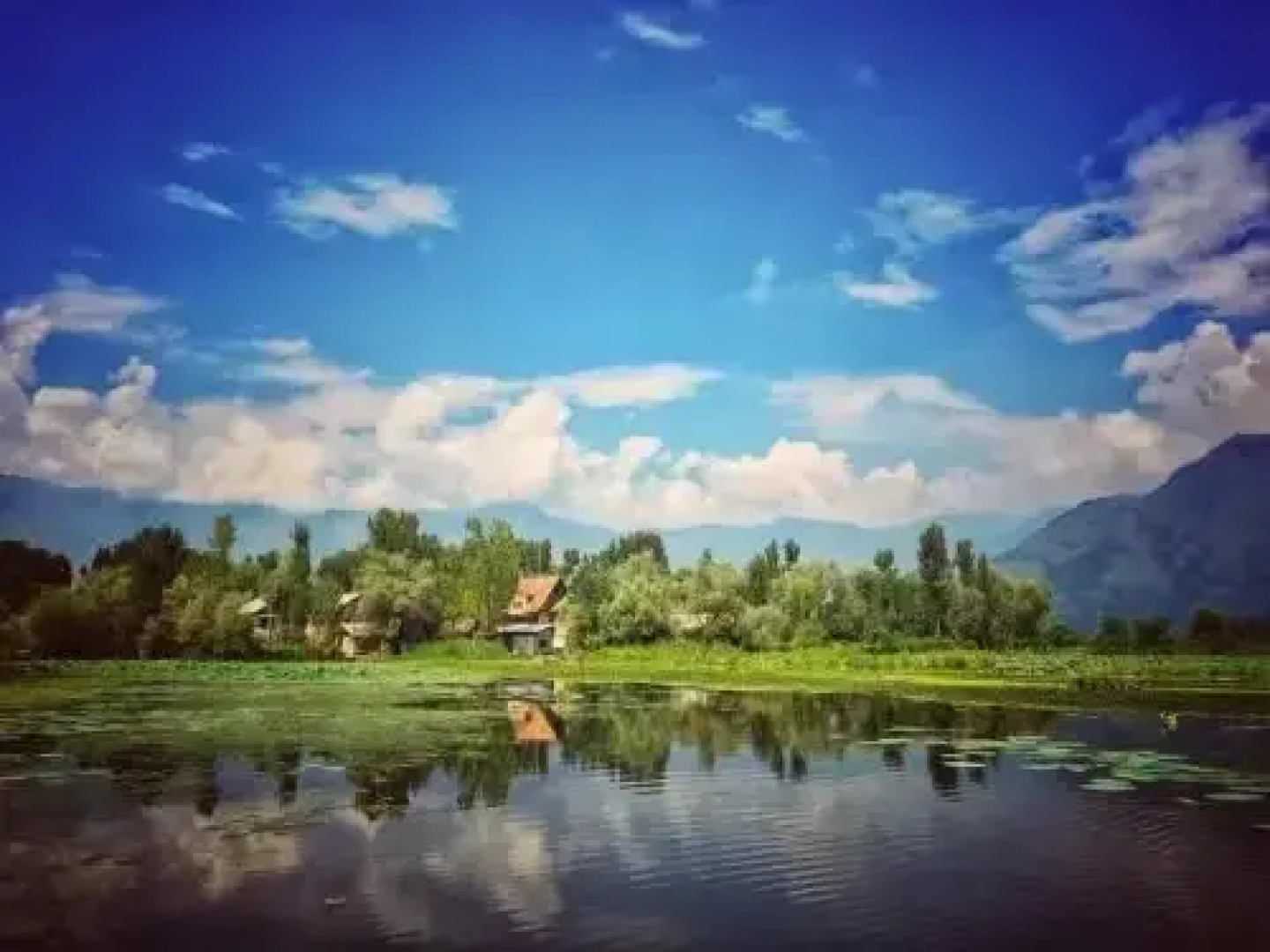 Persian Group of Houseboats