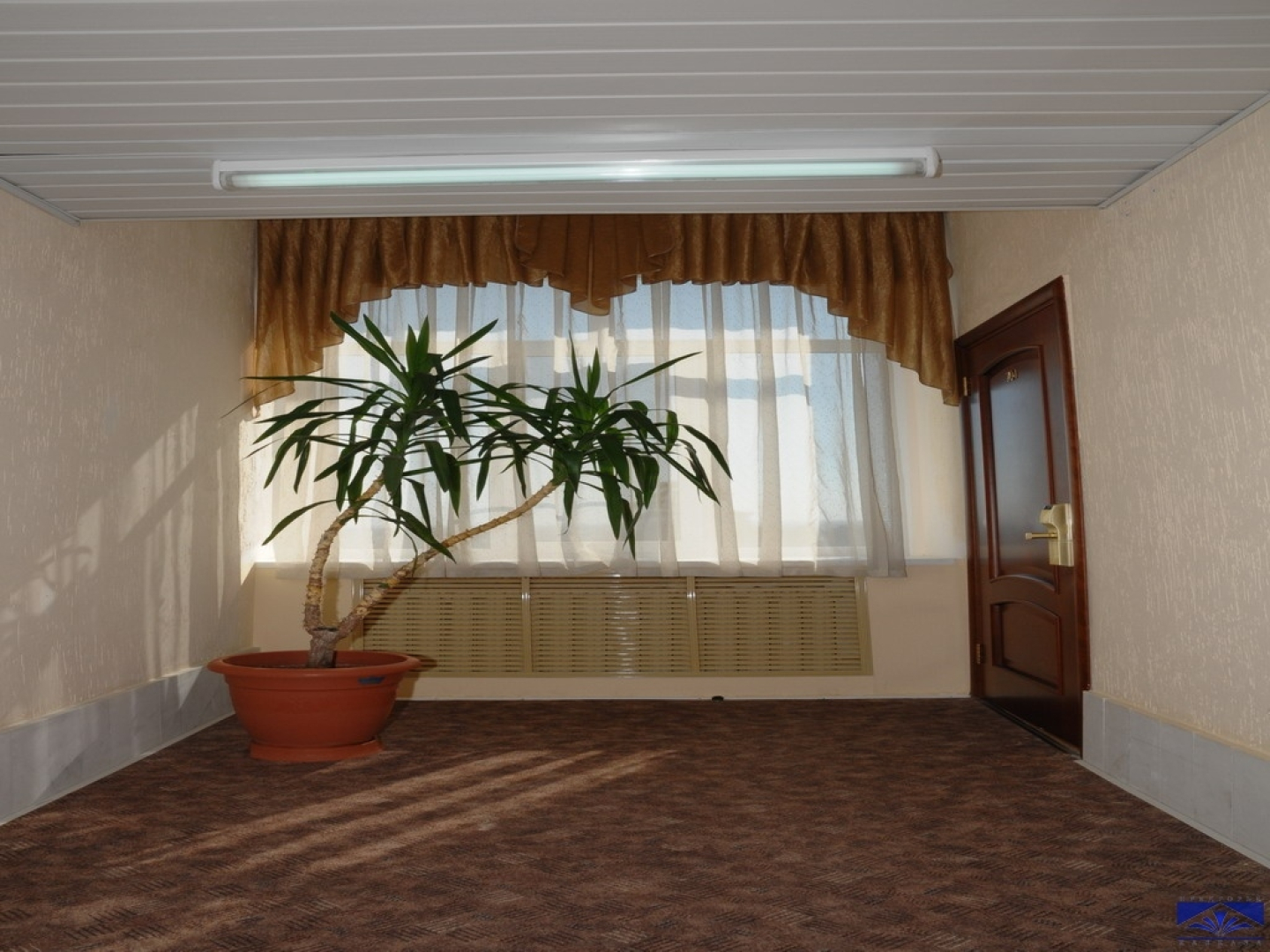 Предгорье Кавказа