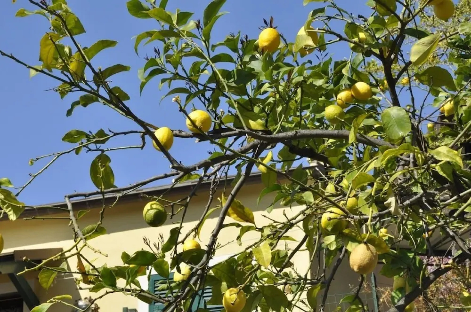 Cà du Ferrà Farm & Relax